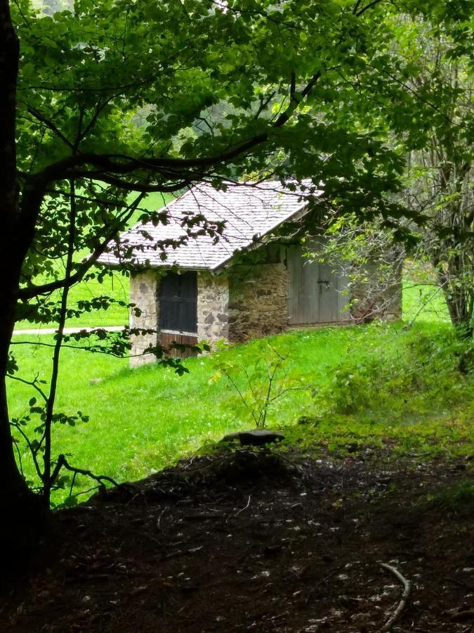 Tregiovo Casa Ida - Clpat 22253ヴィラ エクステリア 写真